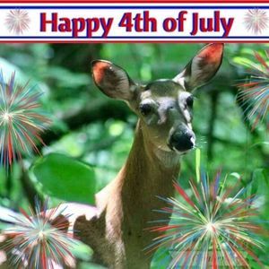 Meet your Posher, Sandy